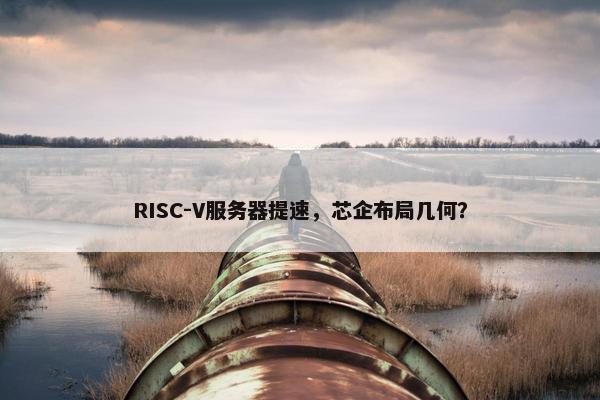 RISC-V服务器提速，芯企布局几何？