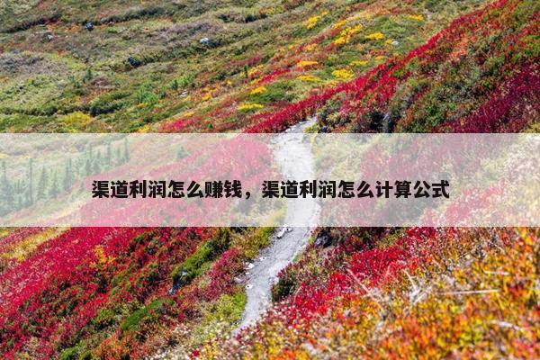 渠道利润怎么赚钱，渠道利润怎么计算公式