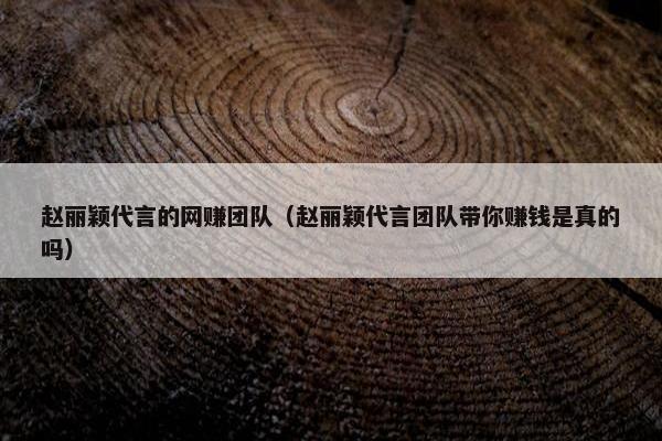 赵丽颖代言的网赚团队（赵丽颖代言团队带你赚钱是真的吗）