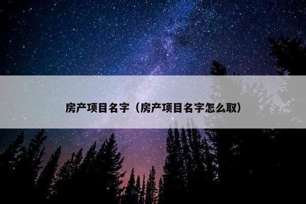 房产项目名字（房产项目名字怎么取）