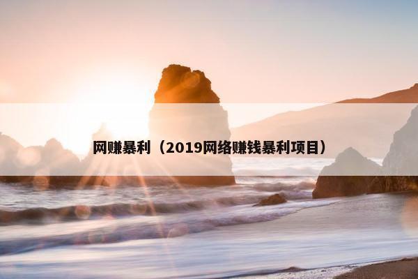 网赚暴利（2019网络赚钱暴利项目）