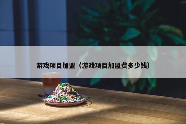 游戏项目加盟（游戏项目加盟费多少钱）