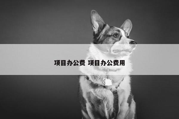 项目办公费 项目办公费用