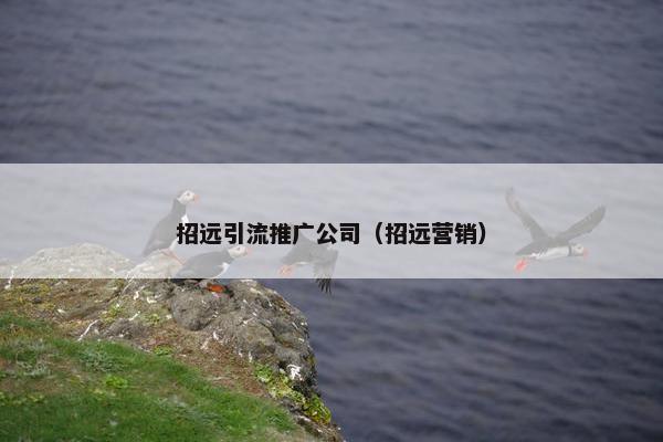 招远引流推广公司（招远营销）