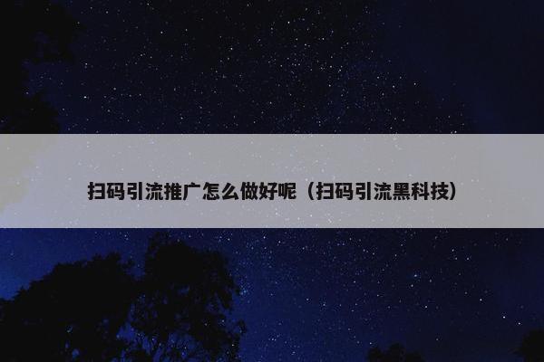 扫码引流推广怎么做好呢（扫码引流黑科技）