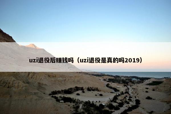 uzi退役后赚钱吗（uzi退役是真的吗2019）