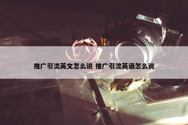 推广引流英文怎么说 推广引流英语怎么说