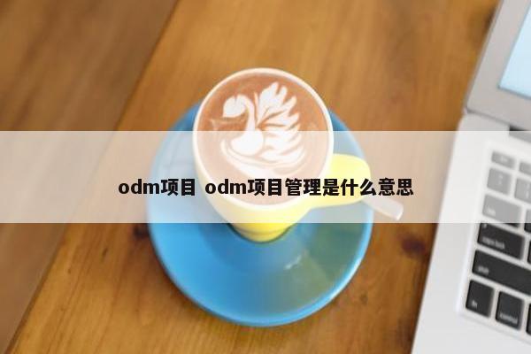 odm项目 odm项目管理是什么意思