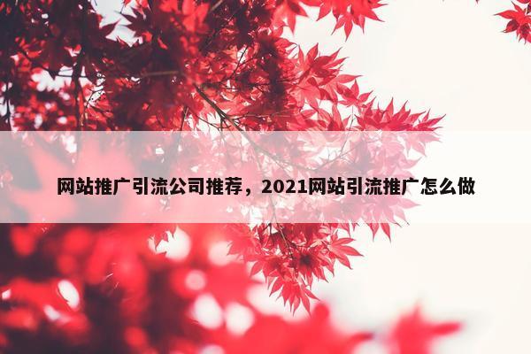 网站推广引流公司推荐，2021网站引流推广怎么做