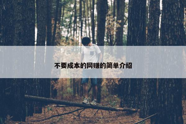 不要成本的网赚的简单介绍