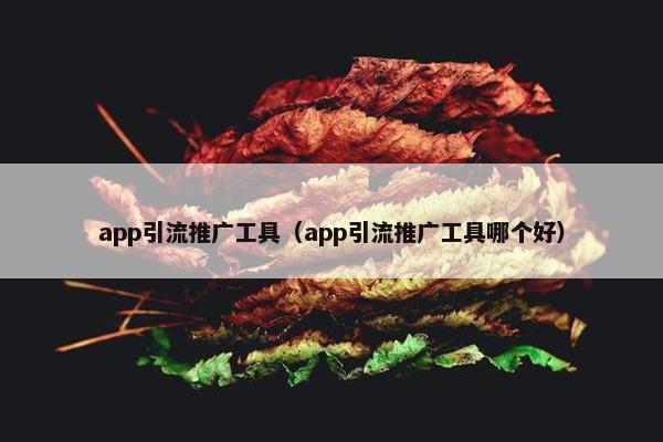 app引流推广工具（app引流推广工具哪个好）