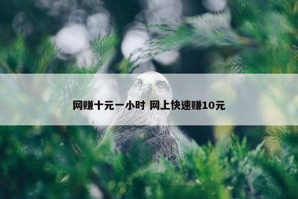 网赚十元一小时 网上快速赚10元