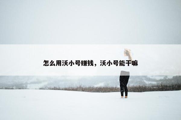 怎么用沃小号赚钱，沃小号能干嘛