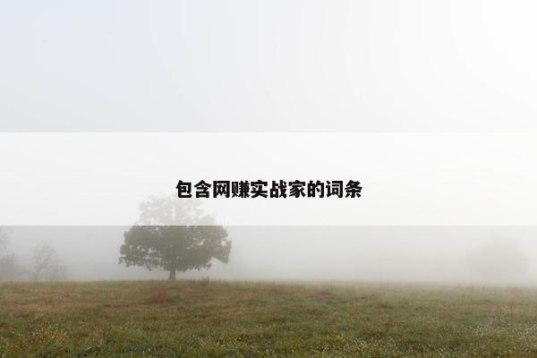 包含网赚实战家的词条