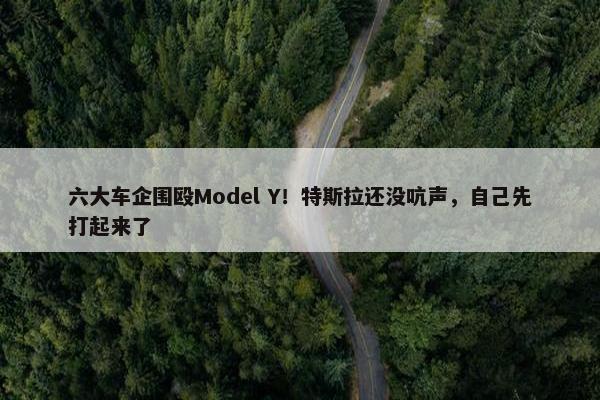 六大车企围殴Model Y！特斯拉还没吭声，自己先打起来了