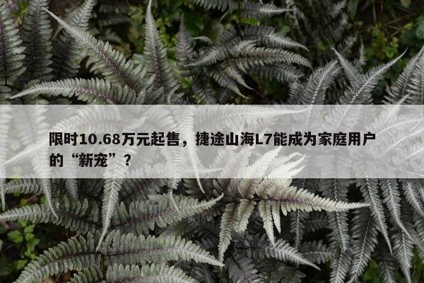 限时10.68万元起售，捷途山海L7能成为家庭用户的“新宠”？